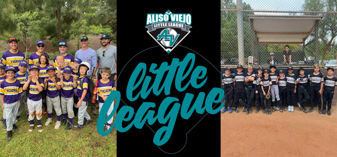 Welcome to the new AVLL website!